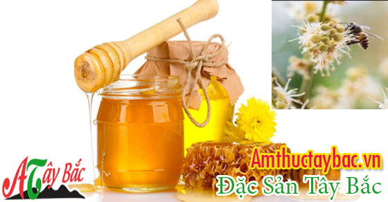 Mật ong nhãn tuy là ong nuôi nhưng chất lướng khá tốt được nhiều người lựa chọn