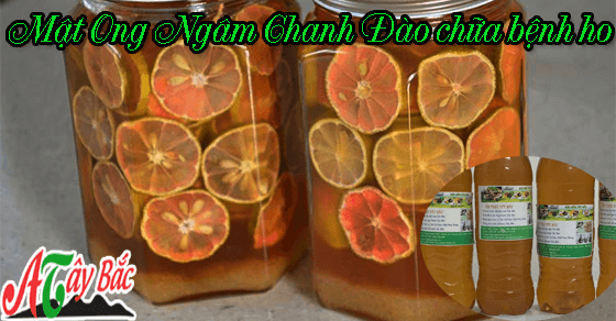 Mật ong rừng là một vị thuốc quý từ thiên nhiên Mật ong rừng là một vị thuốc quý từ thiên nhiên