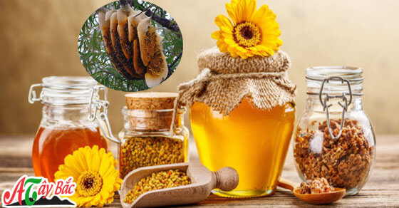 Mật ong rừng chuẩn nhất Tây Bắc