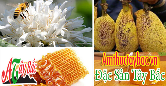 mat ong rung co mau vang tu nhien