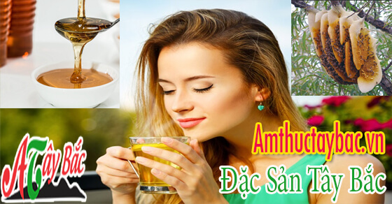 mat ong rung cua tay bac sanh min amthuctaybacvn