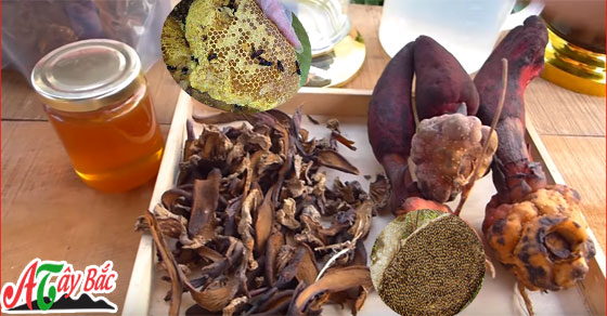 Mật Ong Rừng ngâm trộn với ngọc cầu khô ngâm rượu là chuẩn nhất