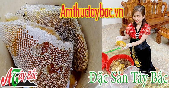 mat ong rung nguyen chat