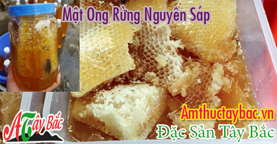 mat ong rung nguyen sap tot cho suc khoe amthuctaybacvn