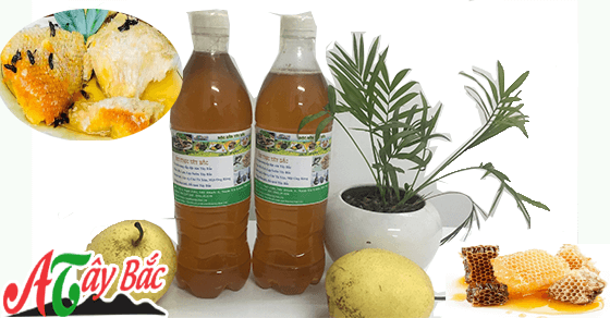 mat ong rung tai amthuctaybac