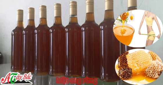 Mật ong rừng xịn chuẩn vị Tây Bắc