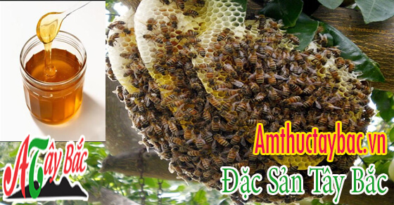 Mật ong rừng có vị thơm đặc trưng của các loại hoa rừng