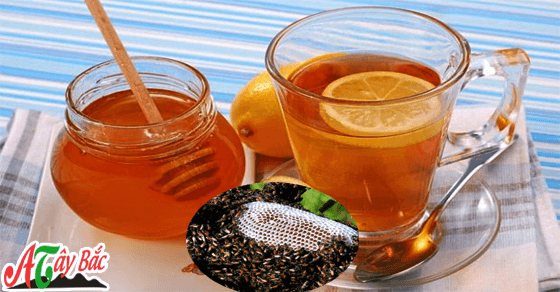 Mật ong rừng Tây Bắc và công dụng tốt của nó Mật ong rừng Tây Bắc và công dụng tốt của nó