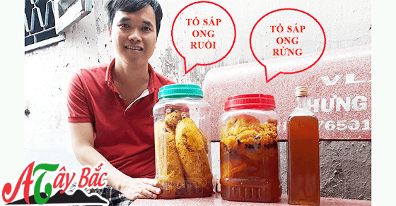 Mật ong Tây Bắc chính hiệu có màu đẹp mắt