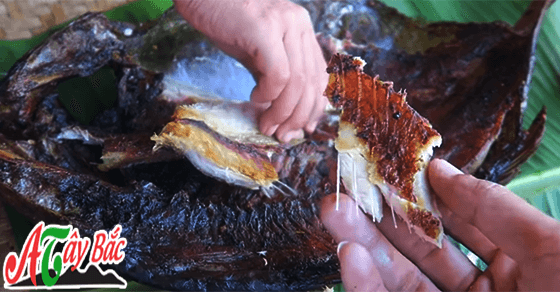 Miếng thịt cá vô cùng kích thích thị giác