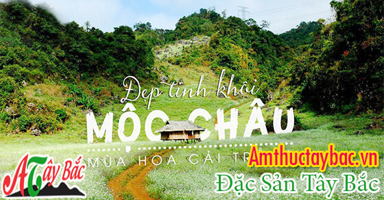 moc chau noi dep nhat cho moi ng