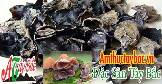 Mộc nhĩ rừng là nguyên liệu không thế thiểu của nhiều món ngon