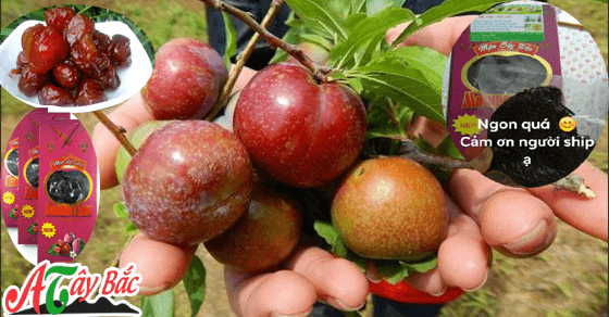 Mộc châu là nghĩ ngay đến món mứt ngon của người dân nơi đây Mộc châu là nghĩ ngay đến món mứt ngon của người dân nơi đây