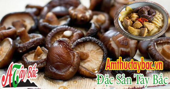 Nấm hương có công hiệu đặc biệt trong điều chị ung thư