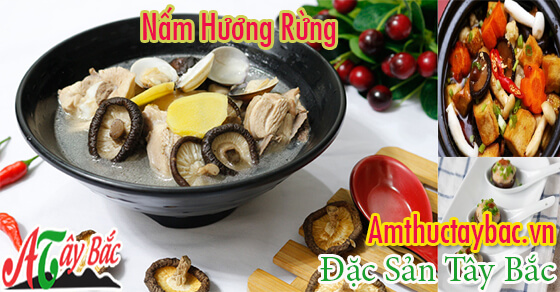 Nấm hương nấu được rất nhiều món ngon bổ dưỡng Nấm hương nấu được rất nhiều món ngon bổ dưỡng