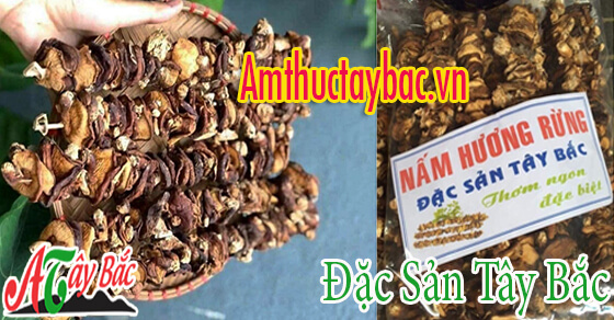 Nấm hương rừng Tây Bắc thường có cánh nhỏ màu gỗ nâu