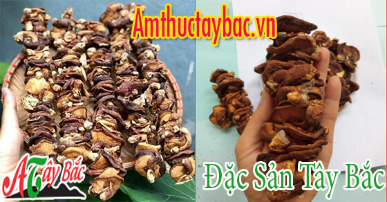 Nấm hương rừng có màu nâu đậm tự nhiên