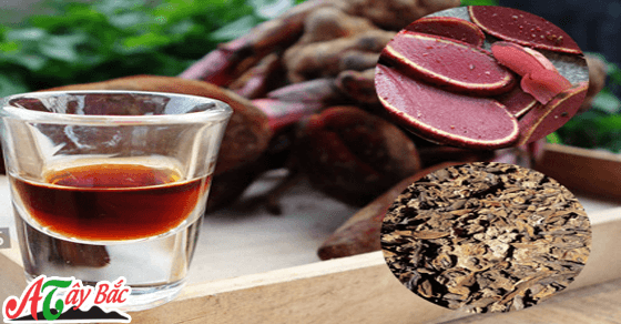 Nấm ngọc cẩu chỉ có ở Tây Bắc