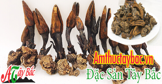 nam ngoc cau su dung duoc quanh nam amthuctaybacvn