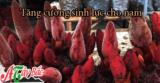 nam ngoc cau tang cuong sl nam amthuctaybacvn