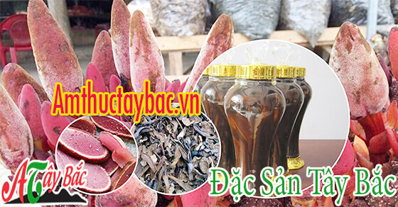 nam ngoc cau thuong co mau do tham