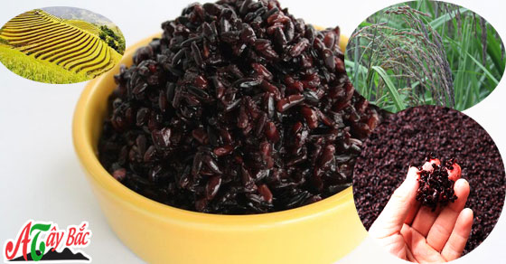 nep cam nuong dienbien amth