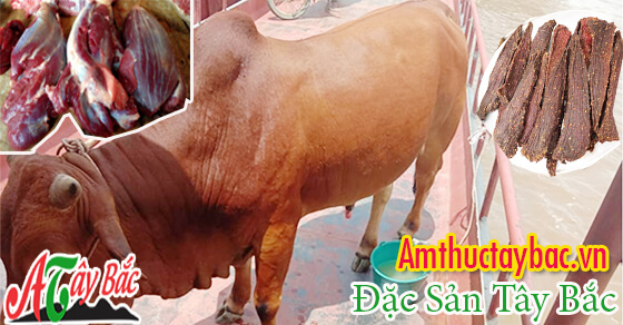 Amthuctaybac.vn nơi cung câp thịt bò gác bếp chuẩn vị Tây Bắc Amthuctaybac.vn nơi cung câp thịt bò gác bếp chuẩn vị Tây Bắc
