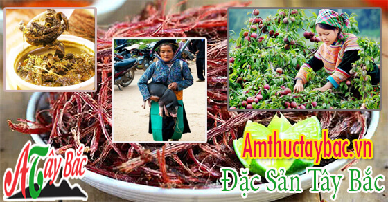Các loại đặc sản đặc biệt ở Tây Bắc