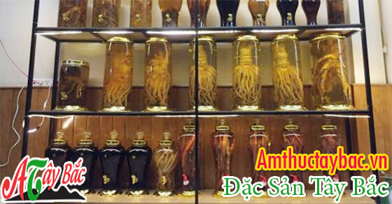 Những loại rượu ngon của Tây Bắc phù hợp khi làm quà tặng cho mọi người