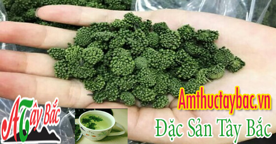 Nhụy hoa tam thất đem đến nhiều công dụng cho sức khỏe