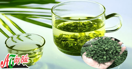 nu hoa tam that 333333