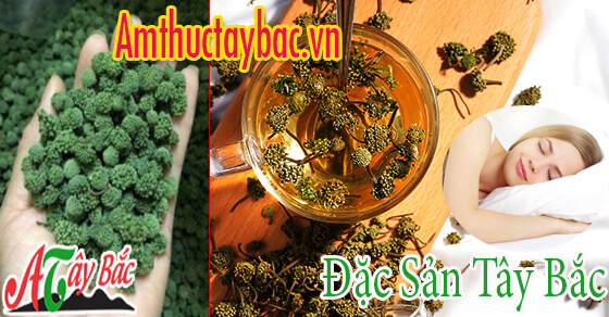 Nụ hoa tam thất giúp ngủ ngon