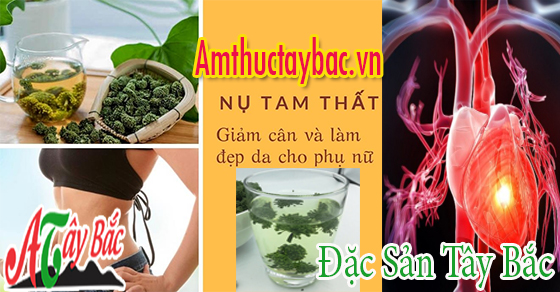 Nụ hoa tam thất giúp giảm cân và bảo vệ gan