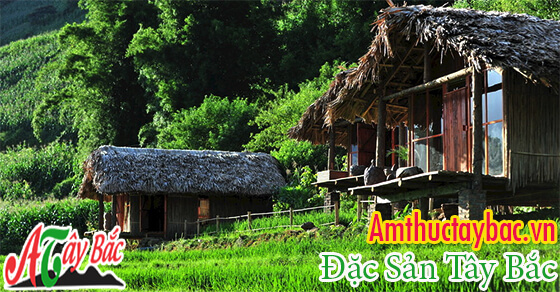 phong canh tay bac dep tai amthuctaybacvn