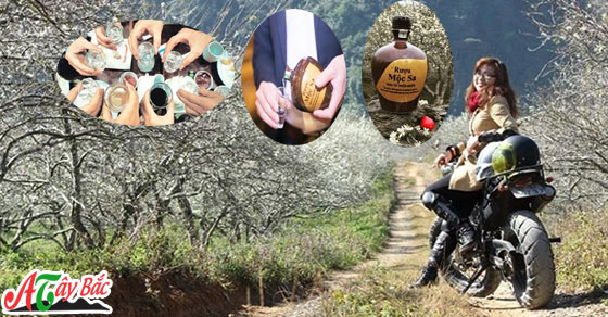 Phượt mộc châu không thể bỏ món rượu mộc sa