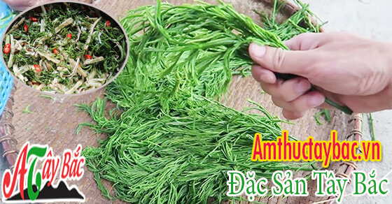 Rau thối bạn đã từng thưởng thức khi đến Tây Bắc