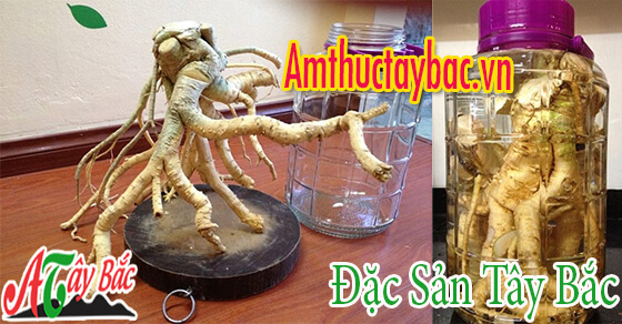 re dinh lang de ngam ruou amthuctaybacvn