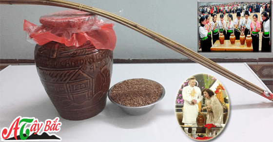 Cung cấp rượu cần thơm ngon nhất của Hòa Bình Cung cấp rượu cần thơm ngon nhất của Hòa Bình