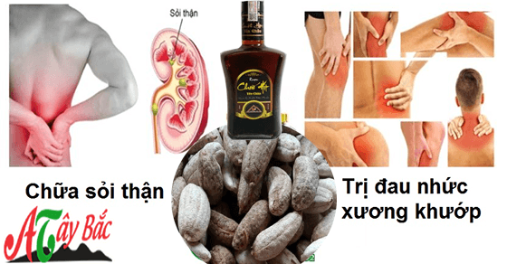 Rượu chuối hột mang đến nhiều tác dụng cho sức khỏe Rượu chuối hột mang đến nhiều tác dụng cho sức khỏe