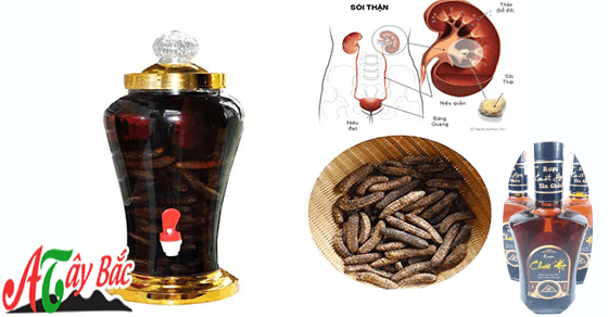 ruou chuoi hot amthuctaybac.vn 26 11