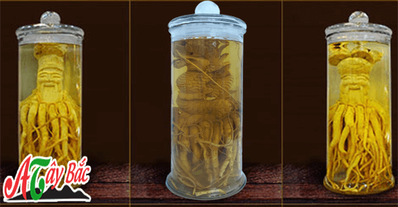 ruou dinh lang am thuctaybacvn nhin rat dep mat vo cung