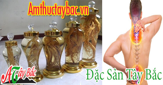 Rượu đinh lăng có công dụng tốt trong việc chữa xương cốt