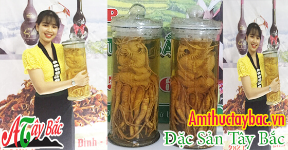 ruou dinh lang cua amthuctaybacvn hn