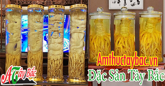 Rượu đinh lăng thường được dùng để trang trí