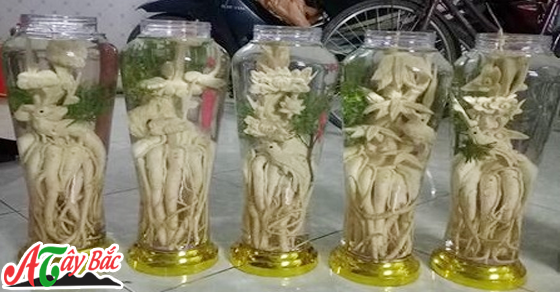 Rượu đinh lăng điêu khắc đẹp nhất tại Hà Nội Rượu đinh lăng điêu khắc đẹp nhất tại Hà Nội