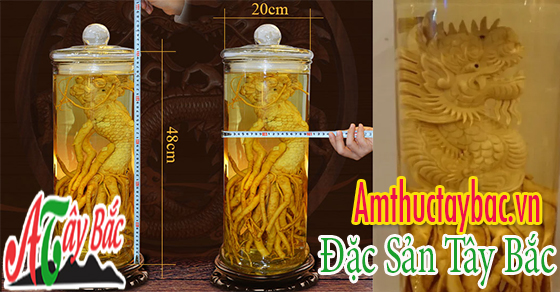 Bình rượu ngâm đinh lăng điêu khắc hình rồng đẹp mắt