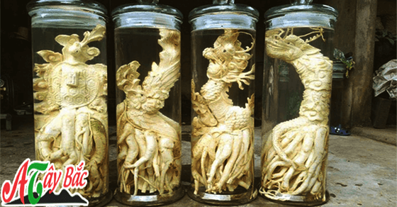 ruou dinh lang khac theo yeu cau cua khach hang