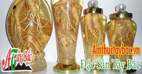 Rượu đinh lăng thơm, bổ dưỡng, tốt cho sức khỏe 