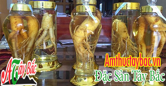 Rượu đinh lăng có tác dụng chăm sóc sức khỏe