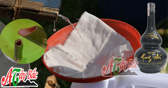 Rượu Hang Chú được làm từ thóc ngâm